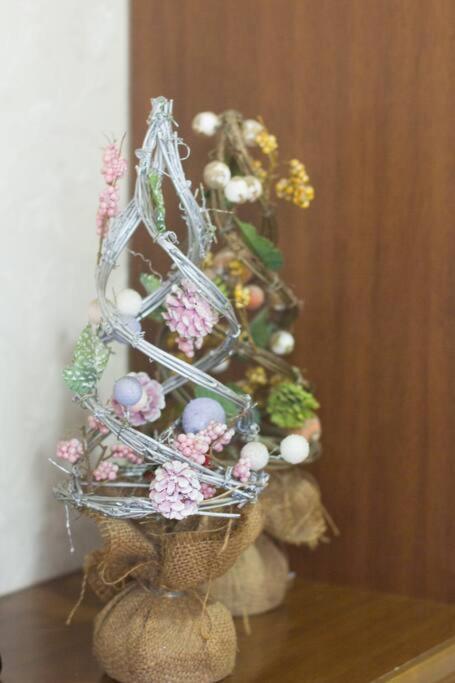 Mochida'S Guest House Tokyo Ngoại thất bức ảnh